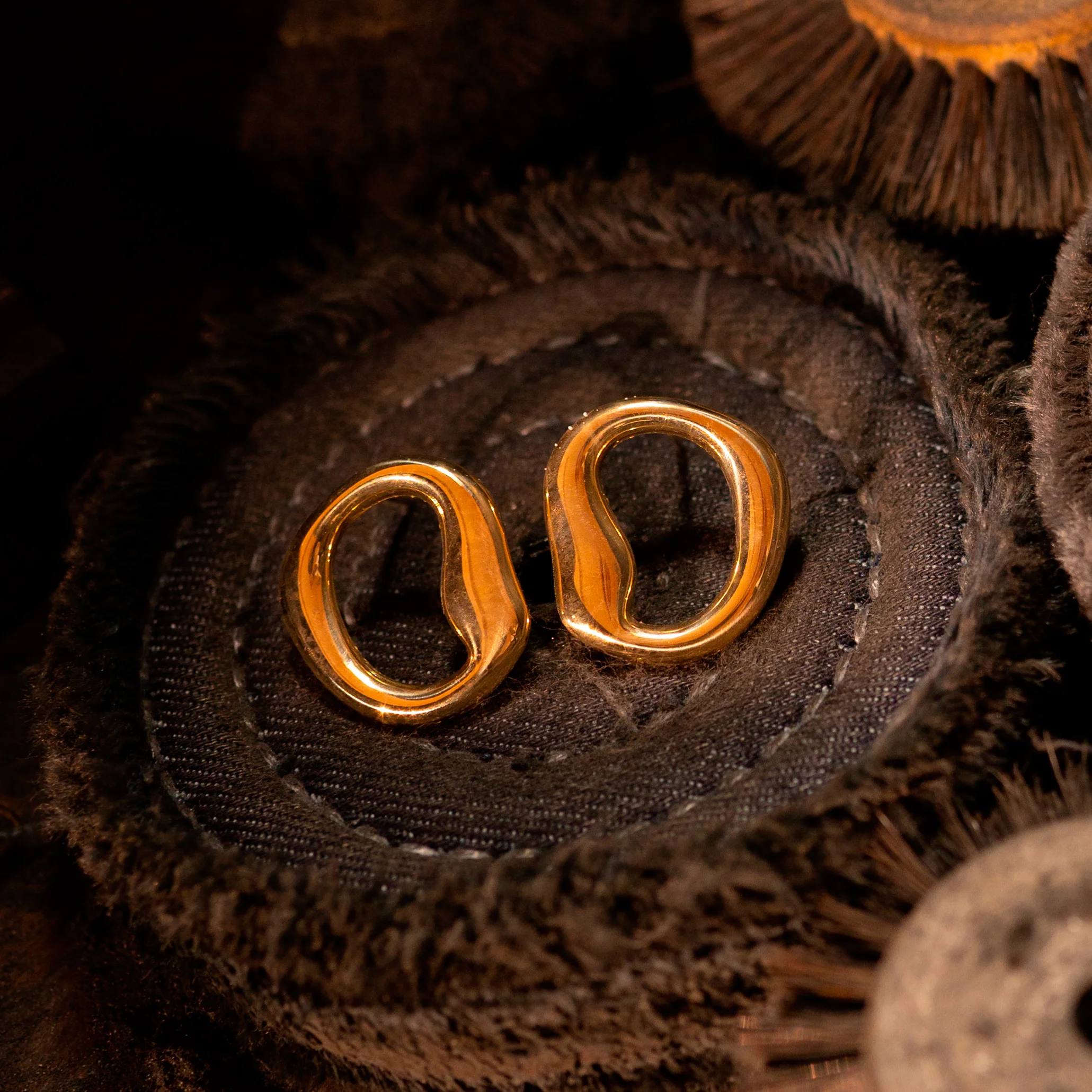 brinco-pliniosimoes3